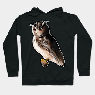 Digital owl drawing - nature inspired art and designs Hoodie